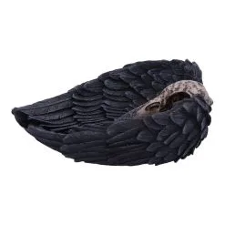 Edgars Raben Schmuckstück Teller -Karnevalskostüme Herren Verkäufe edgars raben schmuckstueck schale edgars raven trinket holder gothic deko 39510 02