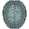 Halloween Gehirn Puddingform -Karnevalskostüme Herren Verkäufe gehirn puddingform halloween halloween pudding brain mould halloween und horror deko 51870