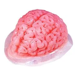 Halloween Gehirn Puddingform