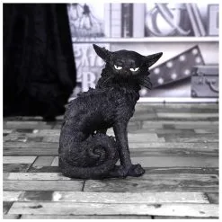 Salem Magierkatze 16,6cm 15 Salem Magierkatze 16,6cm -Karnevalskostüme Herren Verkäufe salem hexenkatze 19cm salem witch cat 19 cm halloween tischdekoration schwarze katzenfigur 51042 07