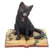 Schwarze Hexenkatze Mit Pentagramm 2 Schwarze Hexenkatze Mit Pentagramm -Karnevalskostüme Herren Verkäufe schwarze katze mit hexenbuch schwarze hexenkatze mit pentagramm witch cat eclipse 39250 01