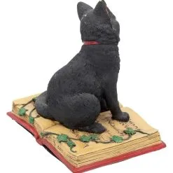 Schwarze Hexenkatze Mit Pentagramm -Karnevalskostüme Herren Verkäufe schwarze katze mit hexenbuch schwarze hexenkatze mit pentagramm witch cat eclipse 39250 04