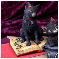 Schwarze Hexenkatze Mit Pentagramm -Karnevalskostüme Herren Verkäufe schwarze katze mit hexenbuch schwarze hexenkatze mit pentagramm witch cat eclipse 39250 05