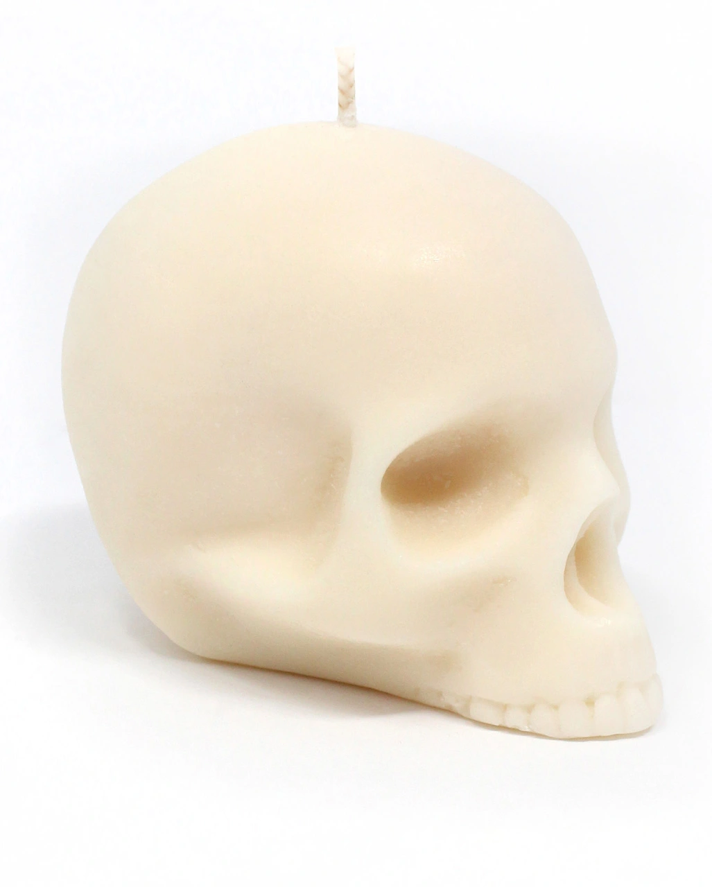 Totenschädelkerze Ohne Kiefer 6,5cm 4 Totenschädelkerze Ohne Kiefer 6,5cm – Bild 2